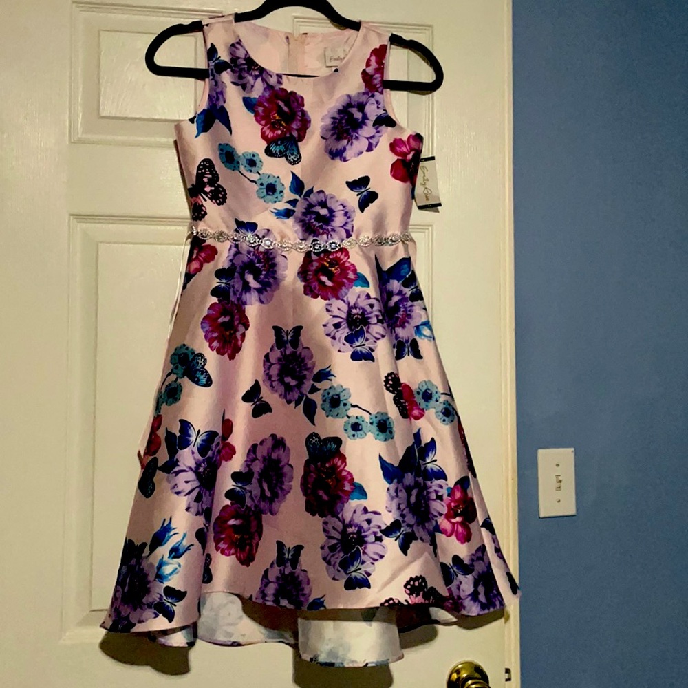 NWT Girl’s party dress 👸🏻👸🏼👸🏽👸🏿